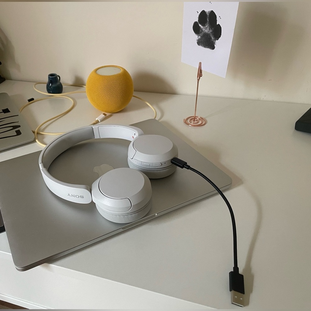 Sony Wireless Bluetooth Headphones Matte White Limited Edition